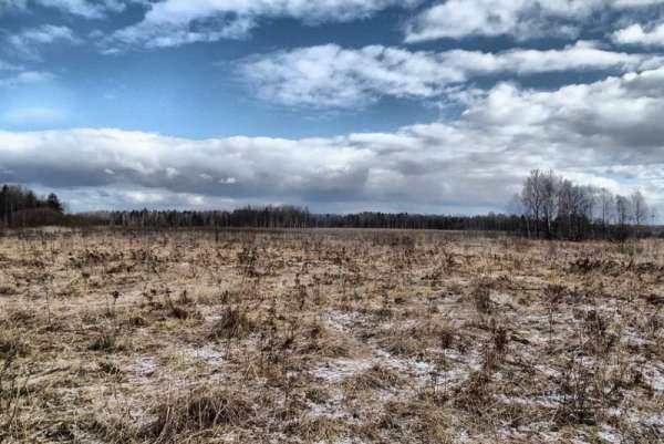 В Минусинском районе обнаружены заброшенные сельхозугодья