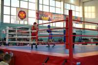 Юные спортсмены Минусинска завоевали несколько наград на краевом турнире по боксу
