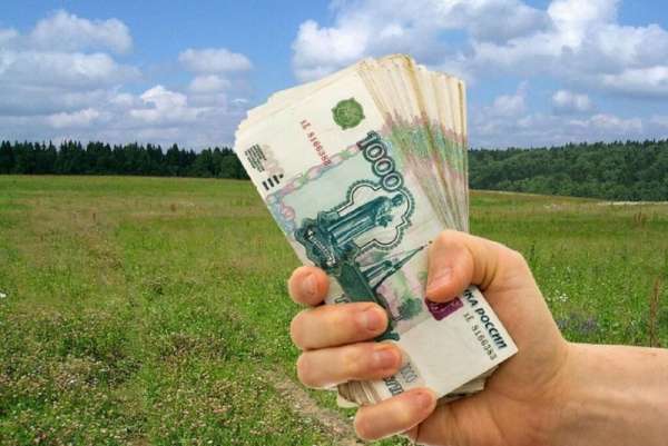 Многодетные семьи Красноярского края вместо земельного участка могут получить 185 тысяч рублей