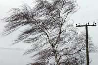 Сильный южный ветер не пускает зиму на юг края и в Хакасию