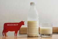 В Минусинске оштрафовали предприятие за некачественную молочную продукцию