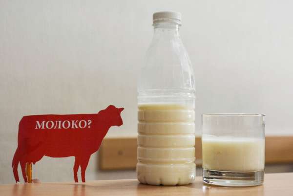В Минусинске оштрафовали предприятие за некачественную молочную продукцию