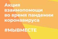 Минусинский район приглашает волонтеров на онлайн-подготовку