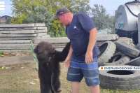 В Красноярском крае житель Емельяновского района спас медвежонка