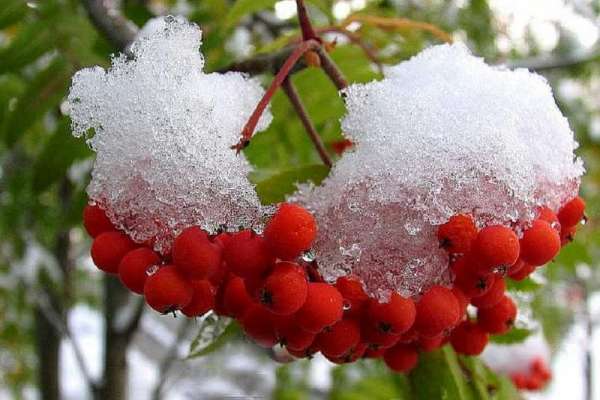 Сентябрь на юге Красноярского края будет неоднородным: с жарой и снегом