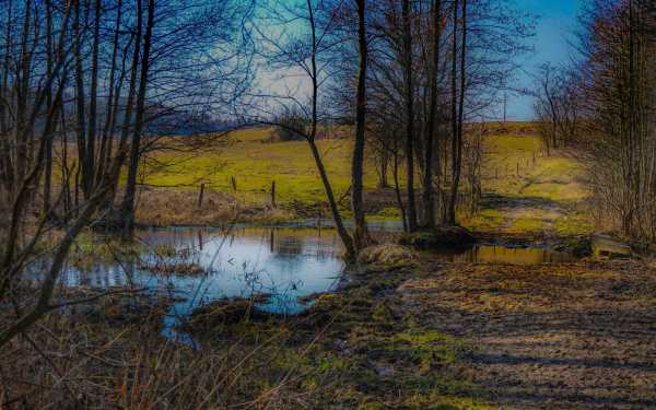В Красноярском крае девочка на полтора часа застряла в болоте