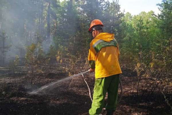В Минусинском районе возник лесной пожар