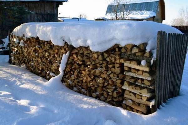 В Красноярском крае семьи участников СВО могут бесплатно получить дрова