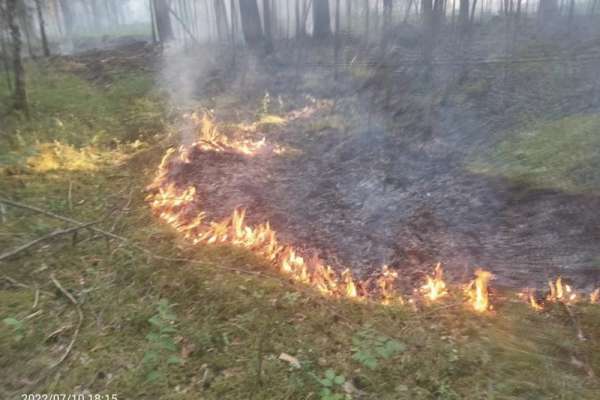 Сухие грозы стали причиной двух возгораний в Минусинском районе