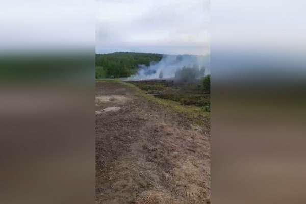 Лесным пожарным удалось избежать разгула огненной стихии в Минусинском районе
