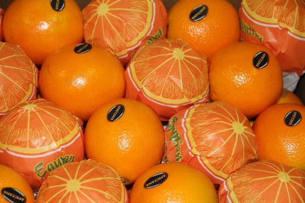 Al masoud мандарины страна. Апельсины (Египет) / сорт «Валенсия». Египетские апельсины. Марокканские апельсины. Апельсины Марокко.