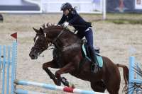 Минусинцы могут принять участие в кубке Хакасии по конному спорту