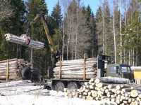 Прокуратура назвала подпольные пункты лесозаготовки в Минусинском районе
