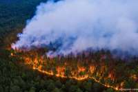 Фотограф «Гринпис» опубликовала снимки полыхающего леса в  Красноярском крае