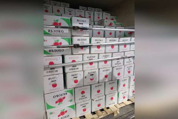 В Красноярский край впервые за 4 года напрямую ввезли партию яблок из Китая