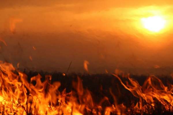 В Хакасии за выходные произошло 38 пожаров